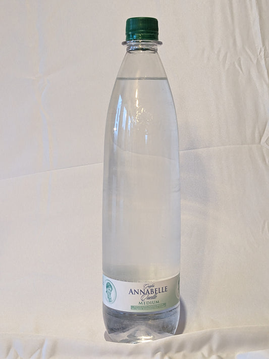 Mineralwasser Medium (1l)